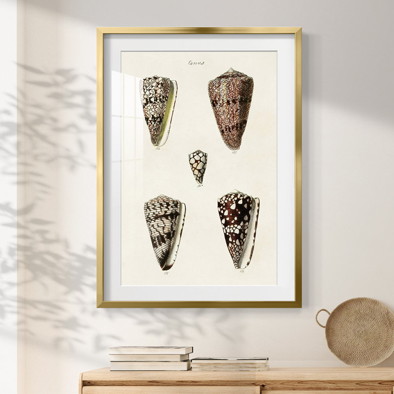 Get Sweet IV -Gallery Wrapped Canvas