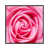Toile avec cadre argenté