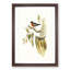 Flame-Breasted Robin by Elizabeth Gould - Picture Frame Painting Print-55609177-55609178
