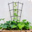 Metal Fan Trellis-2020109727