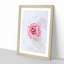Lone Pink Rose - Framed Print-56852815-56852819