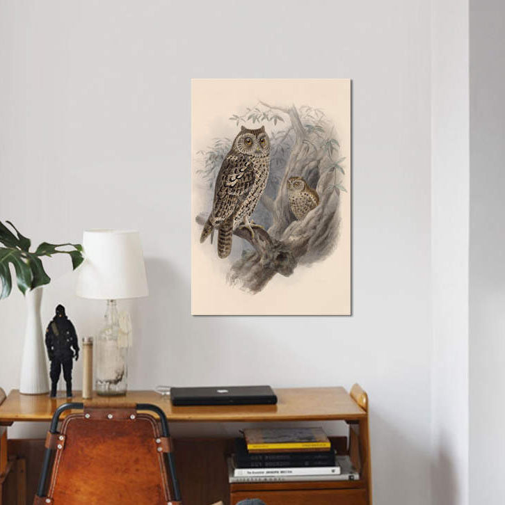 «Tree Owls, 1902», impression sur toile, H 12 po x l 8 po x P 0,75 po, Toile tendue, Pas de tapis