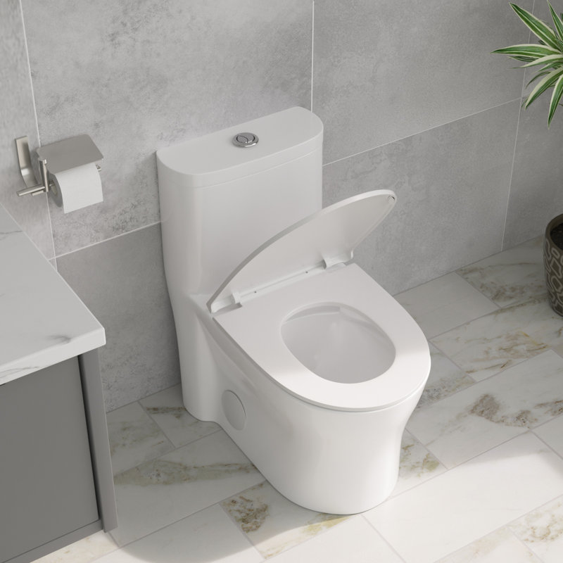 18" Comfort Height Standard Dual-Flush Modern Elongated One-Piece Toilet with Glazed Surface(Soft Close Seat lncluded)