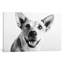 «Irma», reproduction de photo sur toile-21468050-74647161-74647162