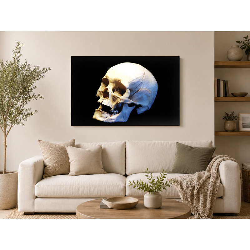 Étude de crâne humain - art mural sur toile paysage, 14" W x 11" H