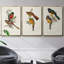 Elegant Trogons I 3 pièces-97795612-97795613