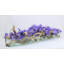 Driftwood Vanda Orchids Centerpiece in Glass Planter