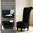 Jairaj Velvet Accent Chair-1225966166-1263153826