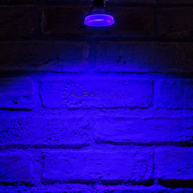 Gabaldon GU10 LED Spotlight Light Bulb, Blue, 5W