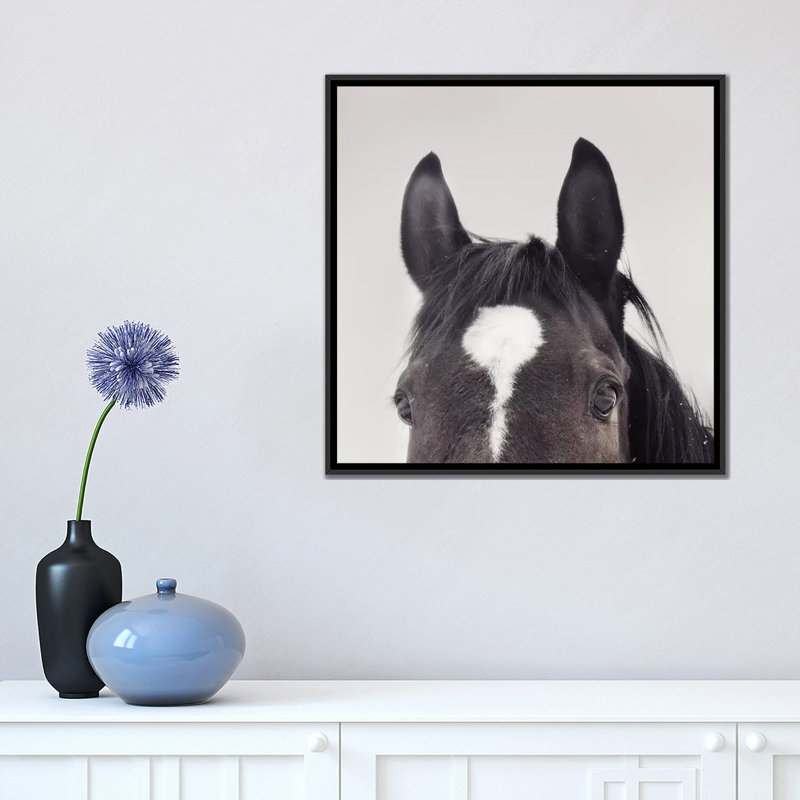 " All Ears " by Chelsea Victoria, 18" H x 18" W x 1.5" D, Black Framed Canvas, No Matte