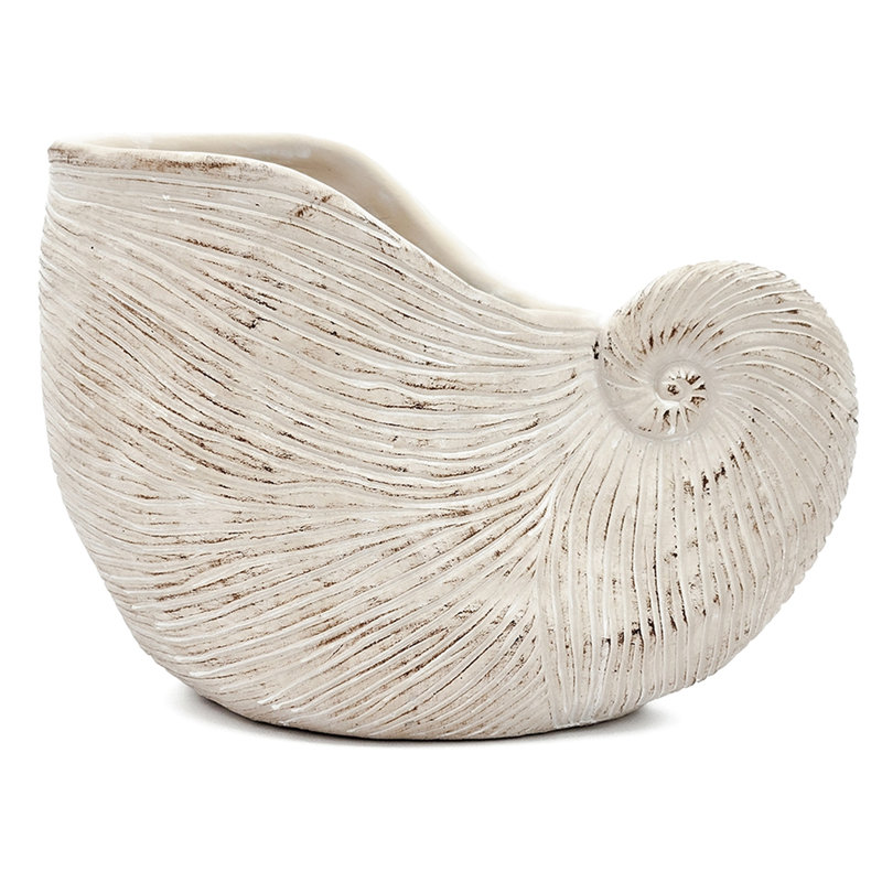 Textured Beige Sand And Cement Shell Planter Ideal For Herbs Adding A Peaceful Ambiance To Your Bedroom 11.5X6.7X7.7 Inches With Shape Neutral Color Trailing Plant Garden