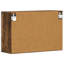 Accent Cabinet-1665459817