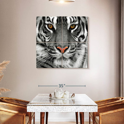 Brampt regardant le tigre