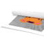 Impression sur papier Tigert Lane Tiger Lane-47833549-47482585