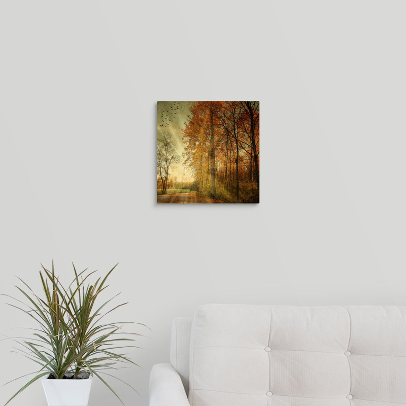 " Ray Fall " by Philippe Sainte-Laudy, 12" H x 12" W x 1.5" D