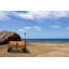 Chariot pliable tout-terrain Wilderness-99312993