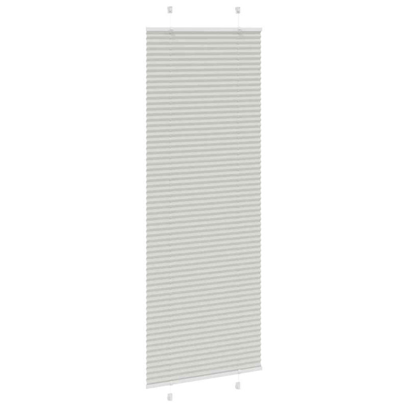 Pleated Blind