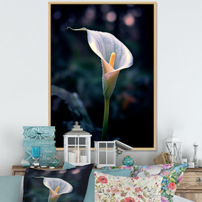 " Calla Lily Moonlight Magic "
