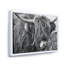 «Scottish Cow on Moorland II» - photographie sur toile-60162415-60162412