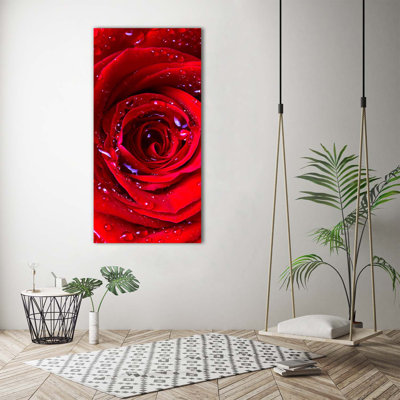 Red Rose - Wrapped Canvas Print