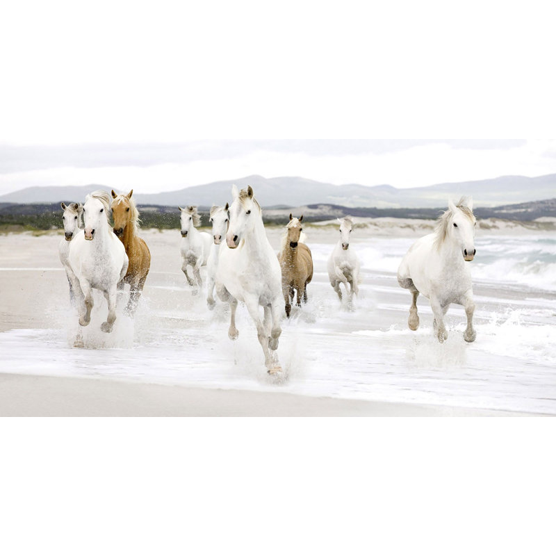 Horses On The Beach - Wrapped Canvas Print, 50cm H x 100cm W