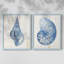 Shell III - reproduction encadrée de qualité supérieure - prête à être accrochée - aucun clou requis - aucun clou requis-400095104-400095126