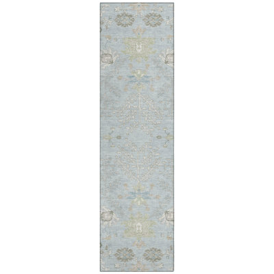 Machine Washable Indoor/Outdoor Chantille ACN2676 Global Rug
