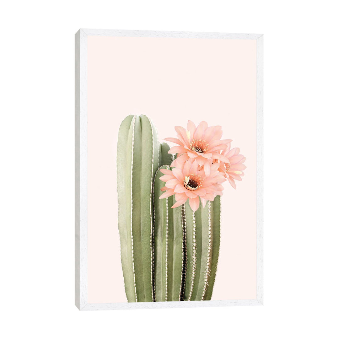 Cactus Flowers von Sisi & Seb - Galerie-verpackte Leinwand Giclée