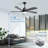 Damecia 52'' Ceiling Fan with LED Lights-1444270905