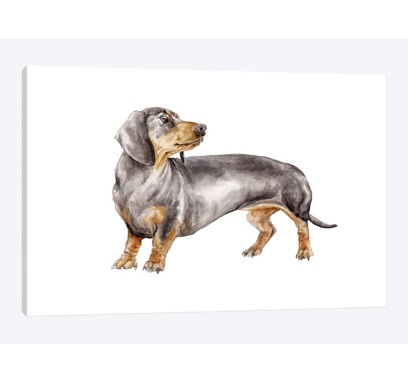 «Black and Tan Dachshund», reproduction sur toile, H 18 po x l 26 po x P 1,5 po, Toile tendue, Pas de tapis