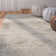 Goodner Southwestern Machine Made Power Loom Viscose Indoor Area Rug in Cream/Taupe/Grey