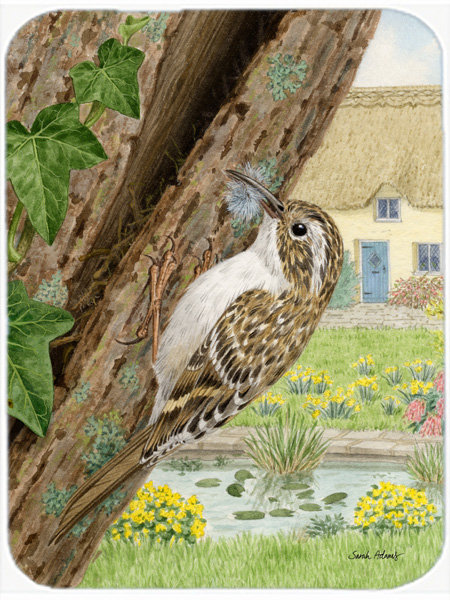 Caroline's Treasures Treecreeper Glass Cutting Board
