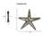 Starfish Door Knocker-15024208-41399644