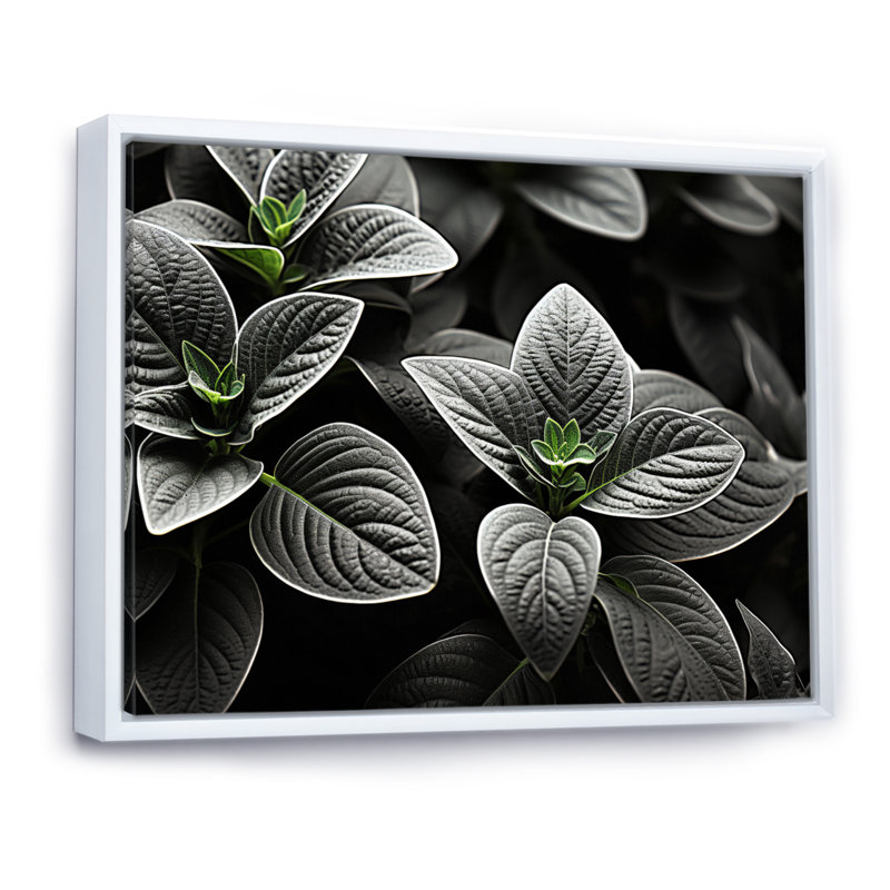 Plantes grises, sérénité botanique sur toile, H 30 po x l 40 po x P 1,5 po, Cadre flottant blanc