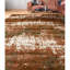 Area Rug-1792159697