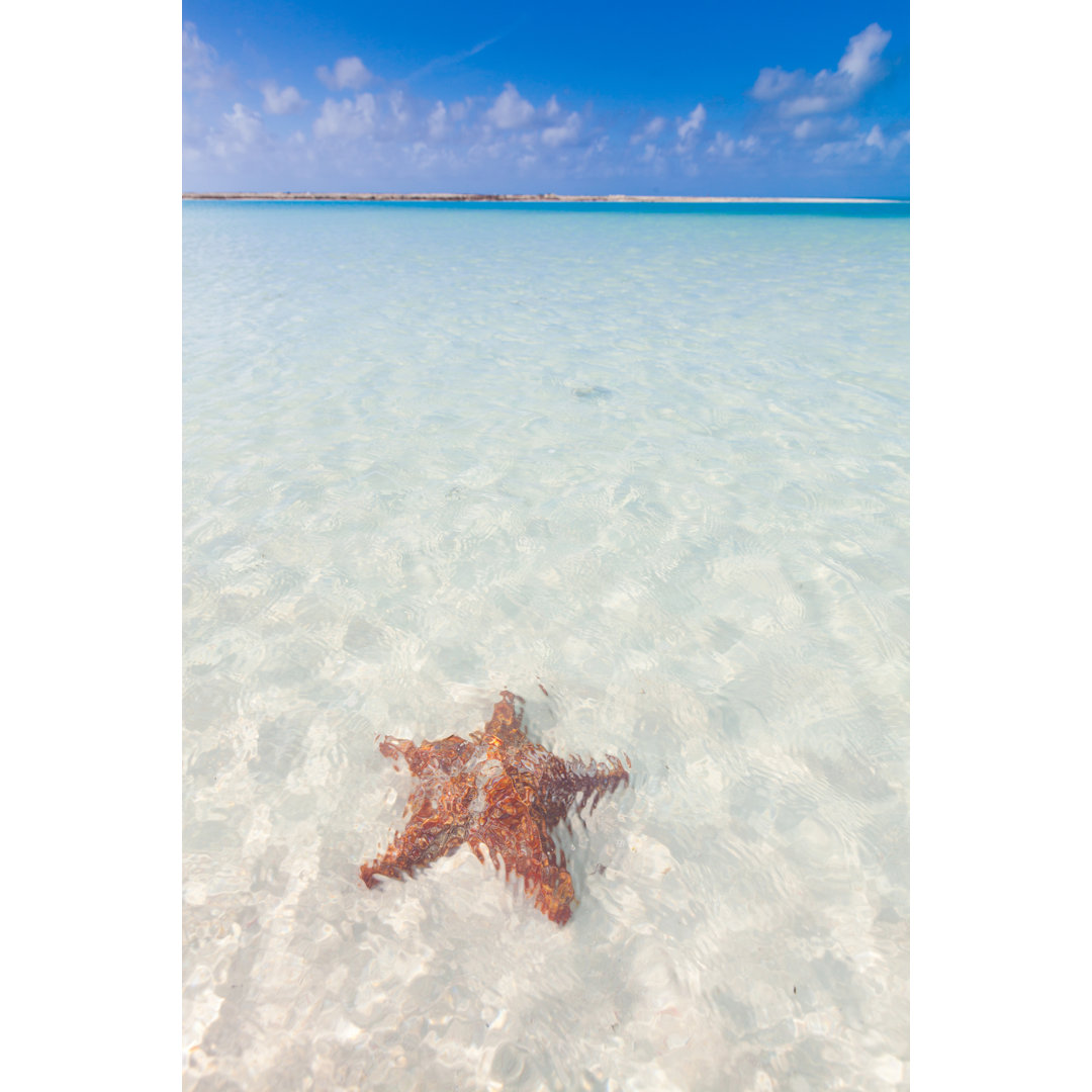 Schöner Strand in Cayo Largo Del Sur, Kuba von Anzeletti - Kunstdrucke ohne Rahmen auf Leinwand