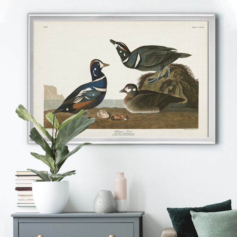 Harlequin Duck - reproduction d'art sur toile, H 18,5 po x l 24,5 po x P 1,5 po, Argent