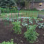 Support de plante galvanisé Bowermaster-27157352-27157354