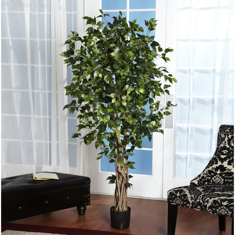 72'' Faux Ficus Tree in Pot