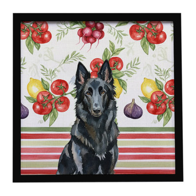 Belgian Sheepdog Groenendael Vegetables Framed Metal Print