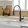 Pull Down Single Handle Kitchen Faucet with Accessories