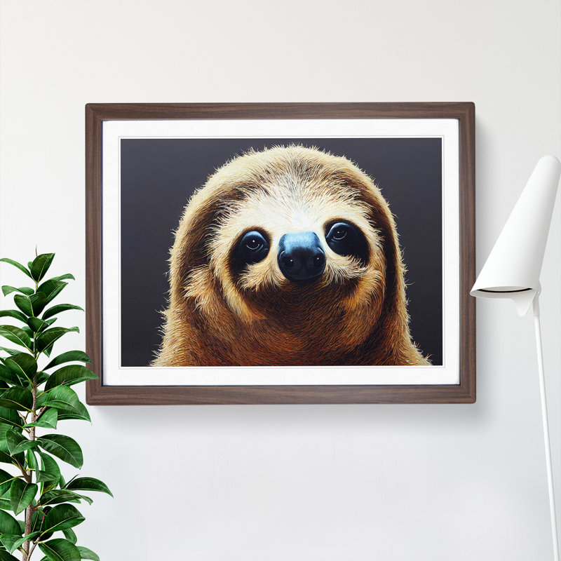 Cute Sloth - Framed Print, 46cm H x 64cm W x 2cm D, Walnut