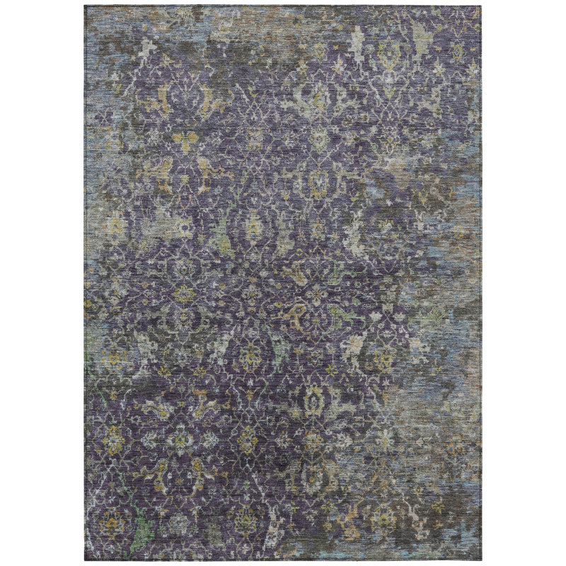 Machine Washable Indoor/Outdoor Chantille ACN2359 Traditional Rug, Rectangle 10' x 14'