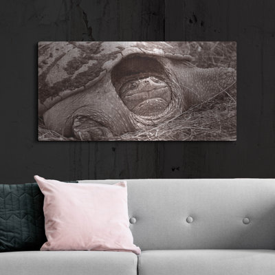 «Buffalo River 11» par Gordon Semmens