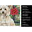 Powderpuff Chinese Crested Christmas PoinsettIas Kitchen Towel-2080584110