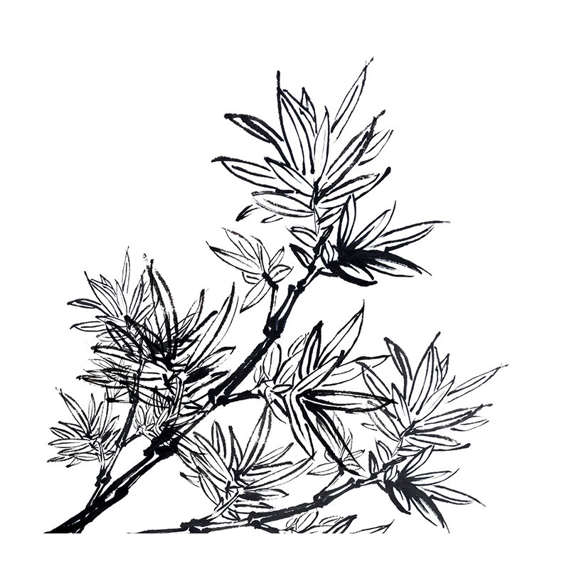 Kinlea Matte Peel & Stick Mural, 250 x 250cm