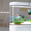 Aquarium en verre transparent thermolaqué à forme de balle-1725856982-1725856980