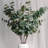 Audet Artificial Eucalyptus Branch(1 Stem)-1750349365
