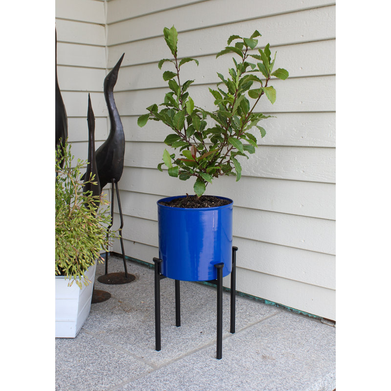 French Blue Galvanized Steel Planter with Black Wrought Iron Stand