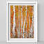 Bouleau d'automne vibrant, illustration de nature, petit feuillage orange et jaune-101376528-101376529
